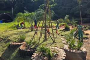 Revitalização no Quitandinha transforma área de descarte irregular de entulho em jardim sustentável
